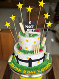 Cricket Theme “6 Not Out” Cake 🏏✨ | Sports Celebration Cake
